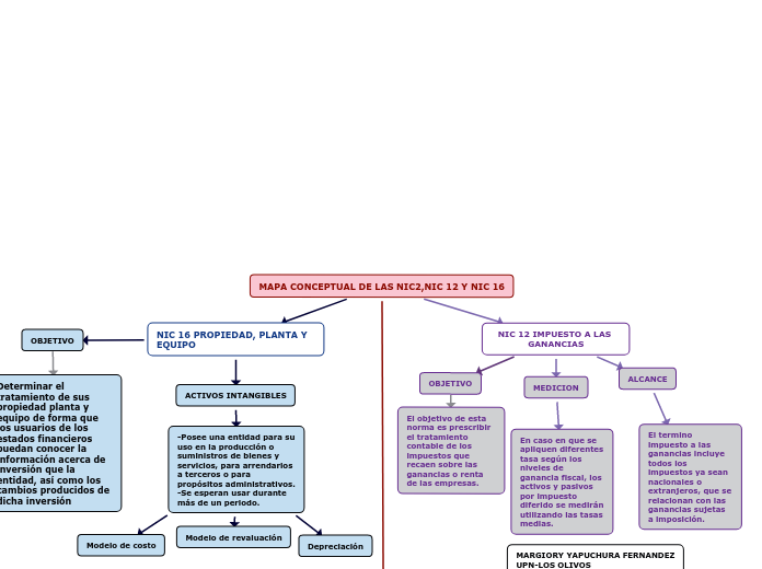MAPA CONCEPTUAL DE LAS NIC2,NIC 12 Y NIC 1...- Mind Map